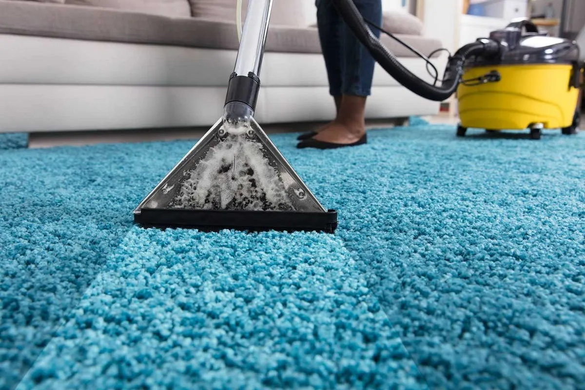 Franklin Carpet Cleaning: Exceptional Carpet Care and More in South Auckland