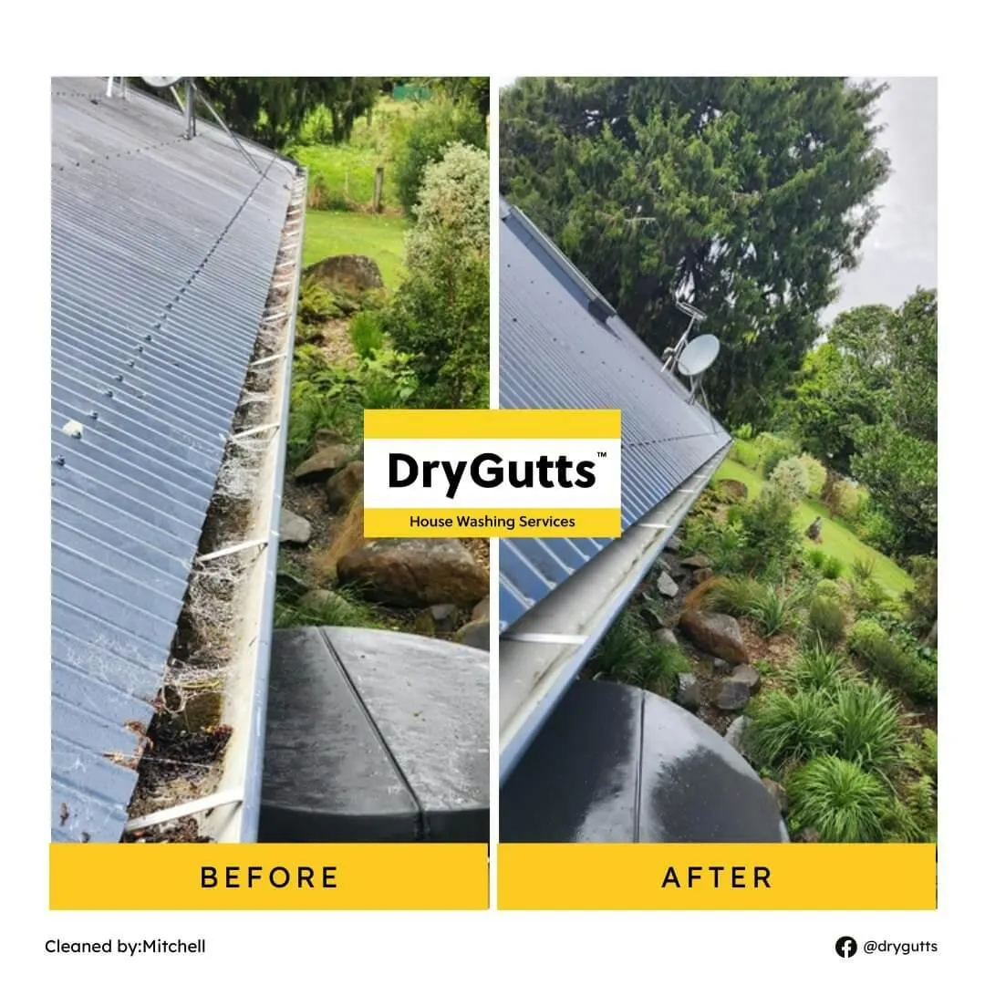 Dry Gutts: Your Go-To House Washing and Exterior Cleaning Experts