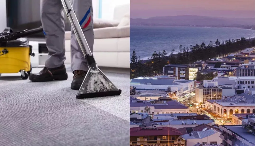 featured image of post: Who are the best carpet cleaners in Napier?